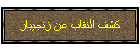 كشف النقاب عن زنجيبار